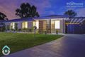 Property photo of 20 Trebeck Street Browns Plains QLD 4118