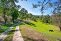 Property photo of 616 Nerang Murwillumbah Road Advancetown QLD 4211