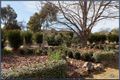 Property photo of 16 Bragg Street Hackett ACT 2602