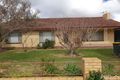 Property photo of 115 Burrows Street Mildura VIC 3500