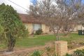 Property photo of 115 Burrows Street Mildura VIC 3500
