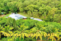 Property photo of 56 Toolakea Beach Road Bluewater QLD 4818