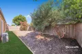 Property photo of 9 Verdure Street Point Cook VIC 3030