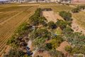 Property photo of 903 Light Pass Road Vine Vale SA 5352