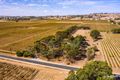 Property photo of 903 Light Pass Road Vine Vale SA 5352