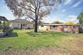Property photo of 117 Green Street Ivanhoe VIC 3079