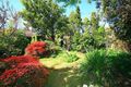 Property photo of 48 Dawson Street Epping NSW 2121