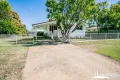Property photo of 5 Alpha Avenue Sunset QLD 4825