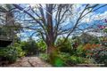 Property photo of 19 Licuala Drive Tamborine Mountain QLD 4272