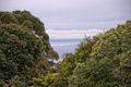Property photo of 145 Somerset Drive Mount Martha VIC 3934