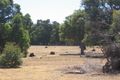 Property photo of 122 Perseverance Boulevard Argyle WA 6239