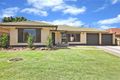 Property photo of 39 Harris Street Netley SA 5037