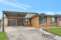 Property photo of 8 Pope Place Fairfield West NSW 2165