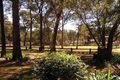 Property photo of 3 Wandarri Road Kenthurst NSW 2156
