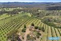 Property photo of 569 Marked Tree Road Gundaroo NSW 2620