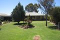 Property photo of 310 Damascus Road Robinvale VIC 3549