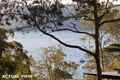 Property photo of 17 Wandeen Road Clareville NSW 2107