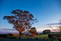 Property photo of 617 Deep Creek Road Wynyard TAS 7325