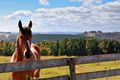 Property photo of 617 Deep Creek Road Wynyard TAS 7325