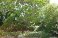 Property photo of 5 Gore Street Arncliffe NSW 2205