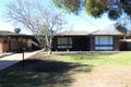 Property photo of 11 Gregory Crescent Lake Albert NSW 2650