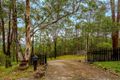 Property photo of 141 Staghorn Drive Austinville QLD 4213
