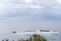 Property photo of 8/25-26 The Esplanade Cronulla NSW 2230