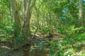 Property photo of 83 Tunba Court Cooroy Mountain QLD 4563
