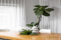 Property photo of 13 Suters Avenue Marsden Park NSW 2765