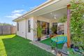 Property photo of 14 Viola Square Peregian Springs QLD 4573