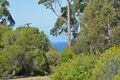 Property photo of 12 Van Leeuwen Crescent Spring Beach TAS 7190