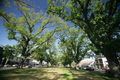 Property photo of 57 Macarthur Place South Carlton VIC 3053