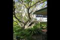 Property photo of 14 Hastings Road Colonel Light Gardens SA 5041