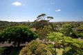 Property photo of 49 Southern Cross Way Allambie Heights NSW 2100