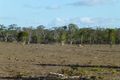 Property photo of 27469 Bruce Highway Isis River QLD 4660