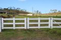 Property photo of 14 Biddle Court Alligator Creek QLD 4740