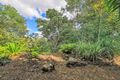 Property photo of 15 Beacon Drive Cornubia QLD 4130