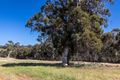 Property photo of 115 Malvi Close Lower Chittering WA 6084