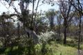 Property photo of 249 Black Wattle Road Dewars Pool WA 6567