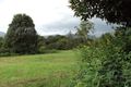 Property photo of 1B Silky Oak Drive Nimbin NSW 2480