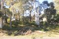 Property photo of 37 Gould Drive Lemon Tree Passage NSW 2319