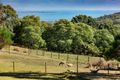 Property photo of 368 Purves Road Main Ridge VIC 3928