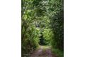 Property photo of 63 Repentance Creek Road Rosebank NSW 2480