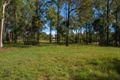 Property photo of 1-53 Bluff Road Cedar Vale QLD 4285