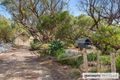 Property photo of 12 Morgan Street Aldinga Beach SA 5173