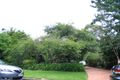 Property photo of 167 Burns Road Springwood NSW 2777