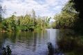 Property photo of 4 Forest Oak Drive Bonville NSW 2450