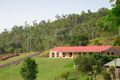 Property photo of 3 Marsilea Road Fernvale QLD 4306