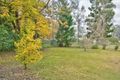 Property photo of 11 Cope Street Bonalbo NSW 2469