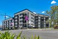 Property photo of 110/21 Peter Doherty Street Dutton Park QLD 4102